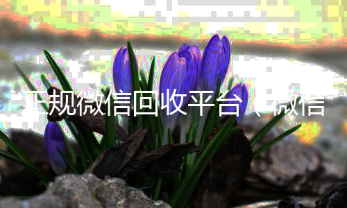 正规微信回收平微信回收正规平台台（微信回收平台联系方式）