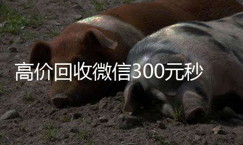 高价回收微信300高价回收微信300元秒结元秒结（高价回收vx300元秒结）