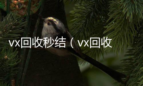 vx回收秒结回收微信秒结账的（vx回收秒结500）
